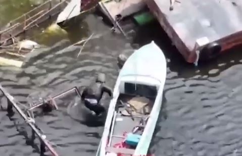Стоп-кадр из видео