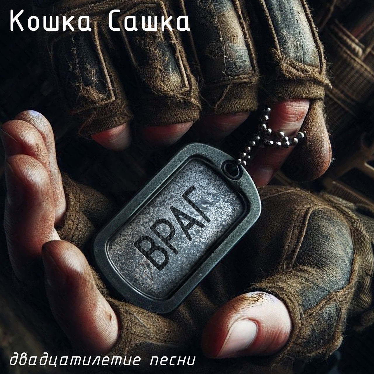 Обложка. Предоставлена издателем Кошка Сашка «Враг» (к двадцатилетию песни)