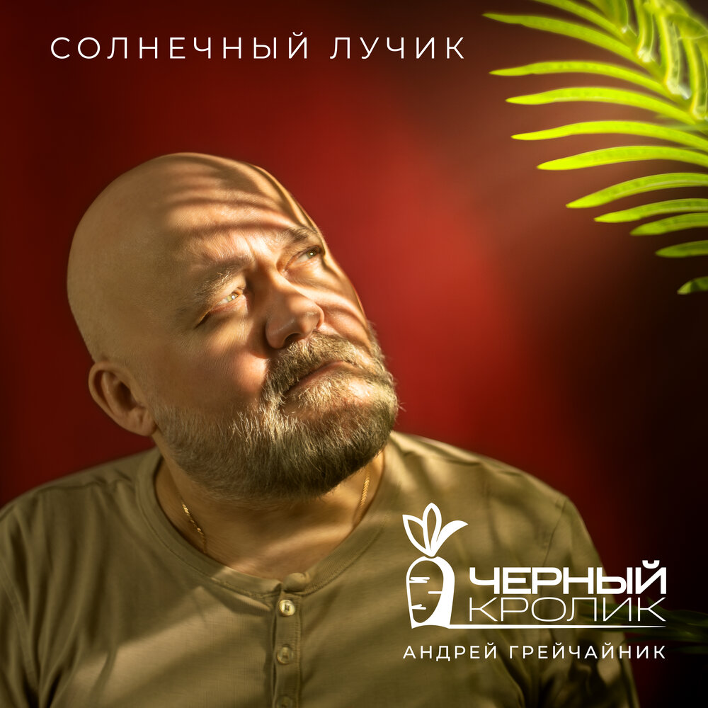 Обложка альбома. Предоставлена издателем Черный кролик feat. Андрей Грейчайник «Солнечный лучик» (интернет-сингл)