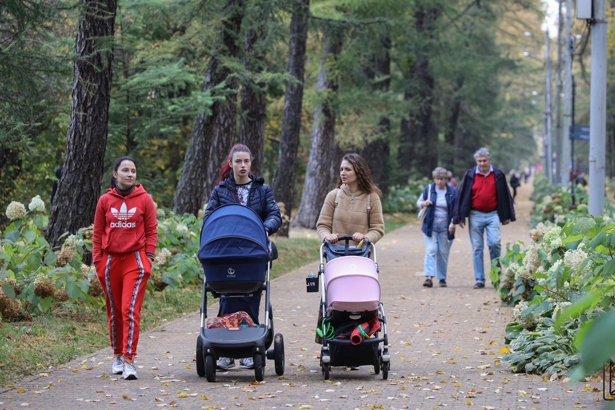 © KM.RU, Кирилл Дуболев © KM.RU, Кирилл Дуболев