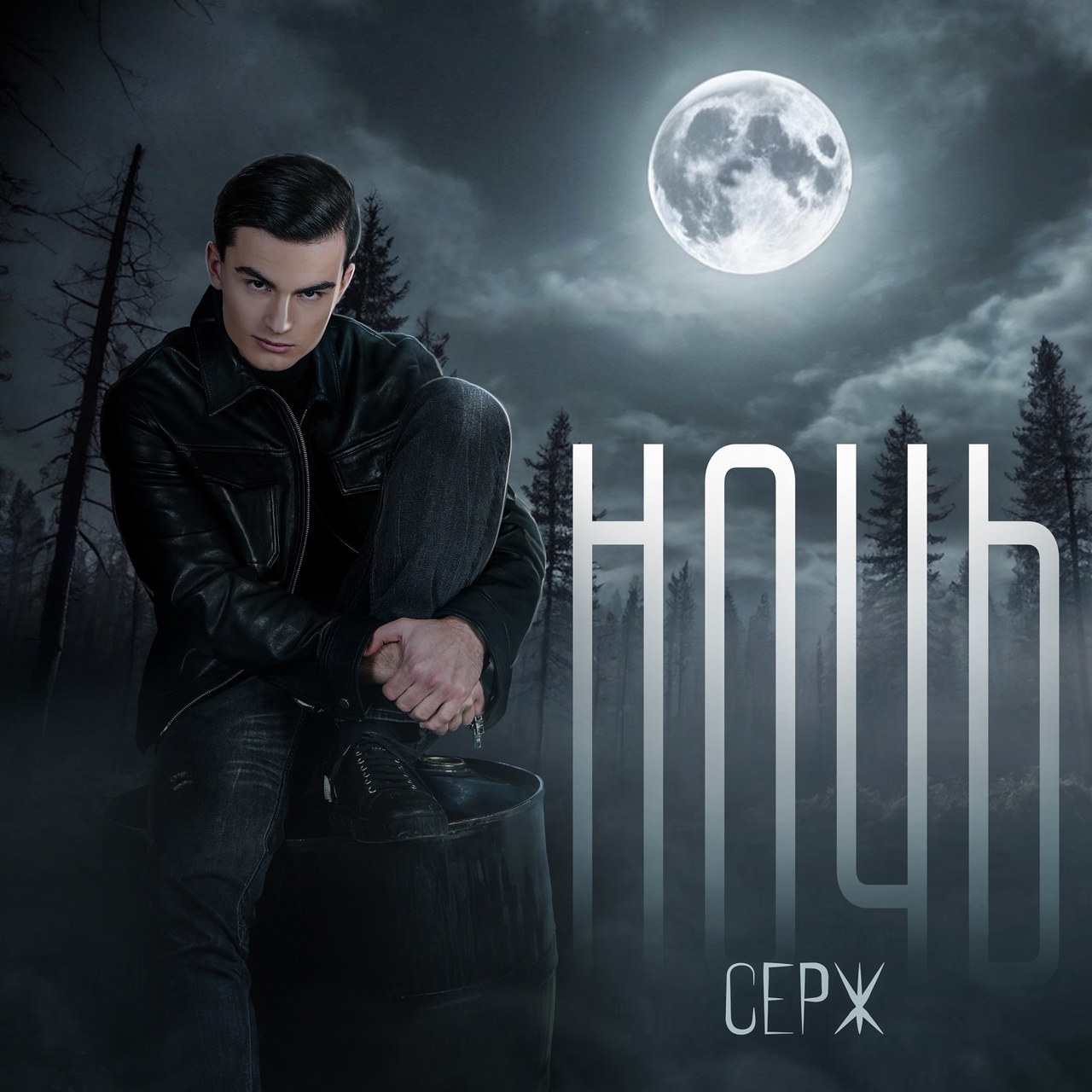 Обложка сингла. Предоставлена издателем Серж «Ночь» (интернет-сингл)