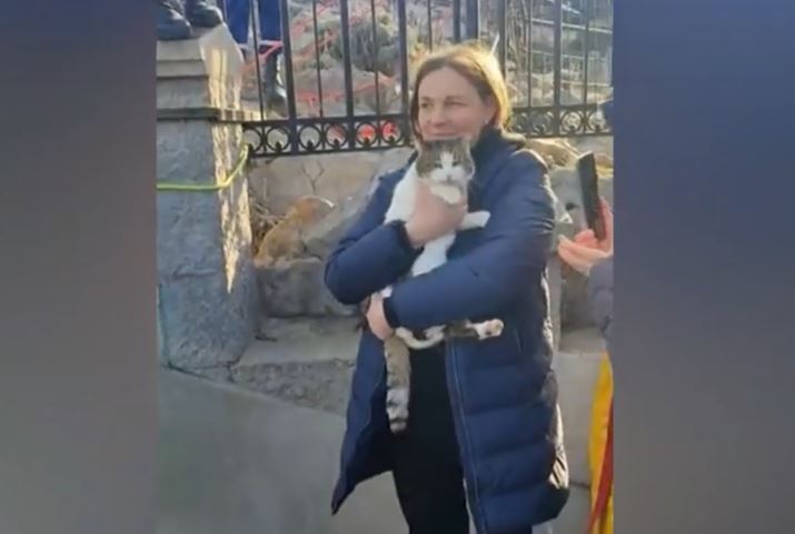 Спасенная кошка Муся. Стоп-кадр из программы телеканала НТВ