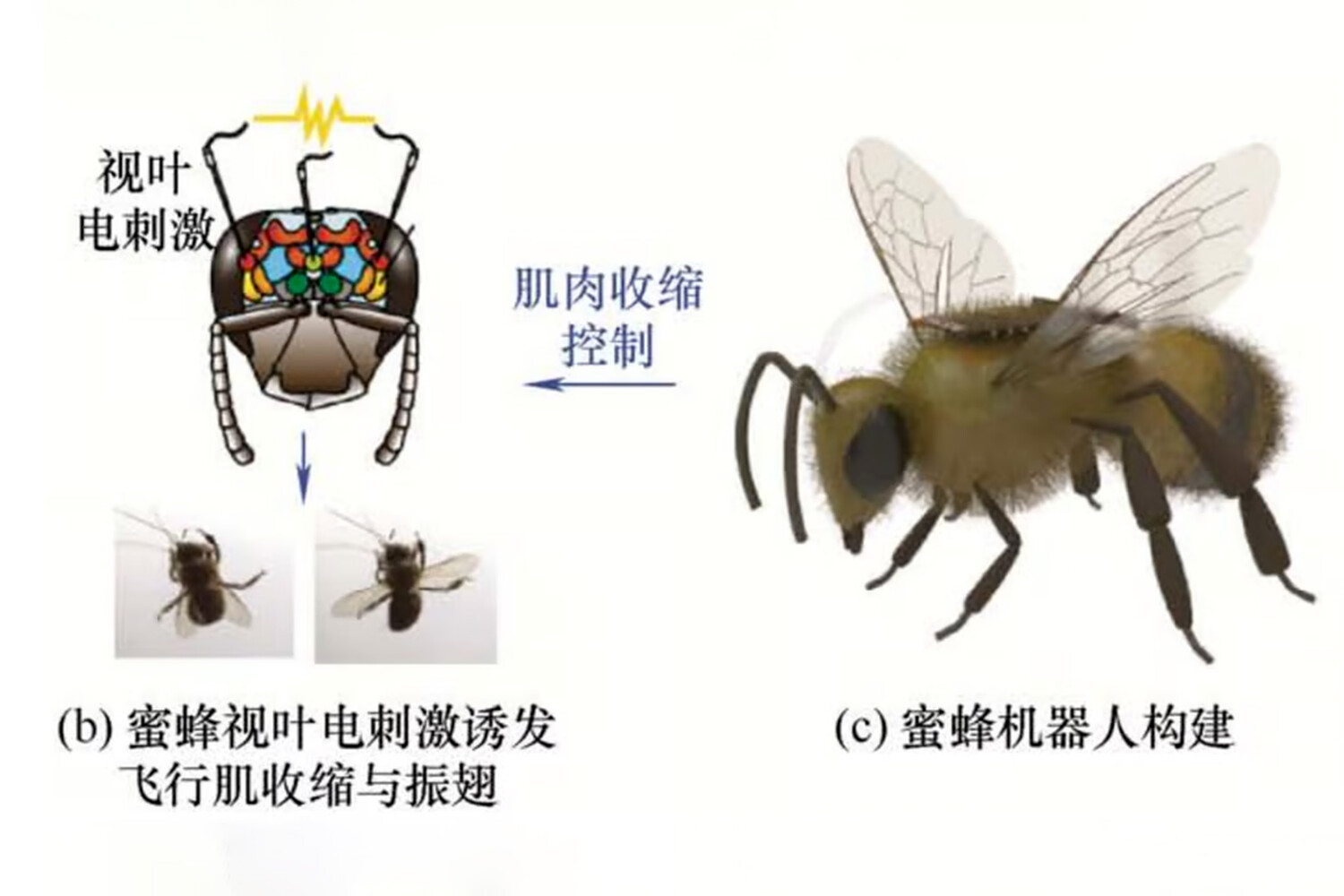 © Beijing Institute of Technology