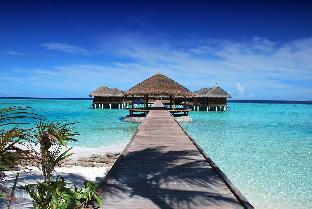 фото pixabay.com