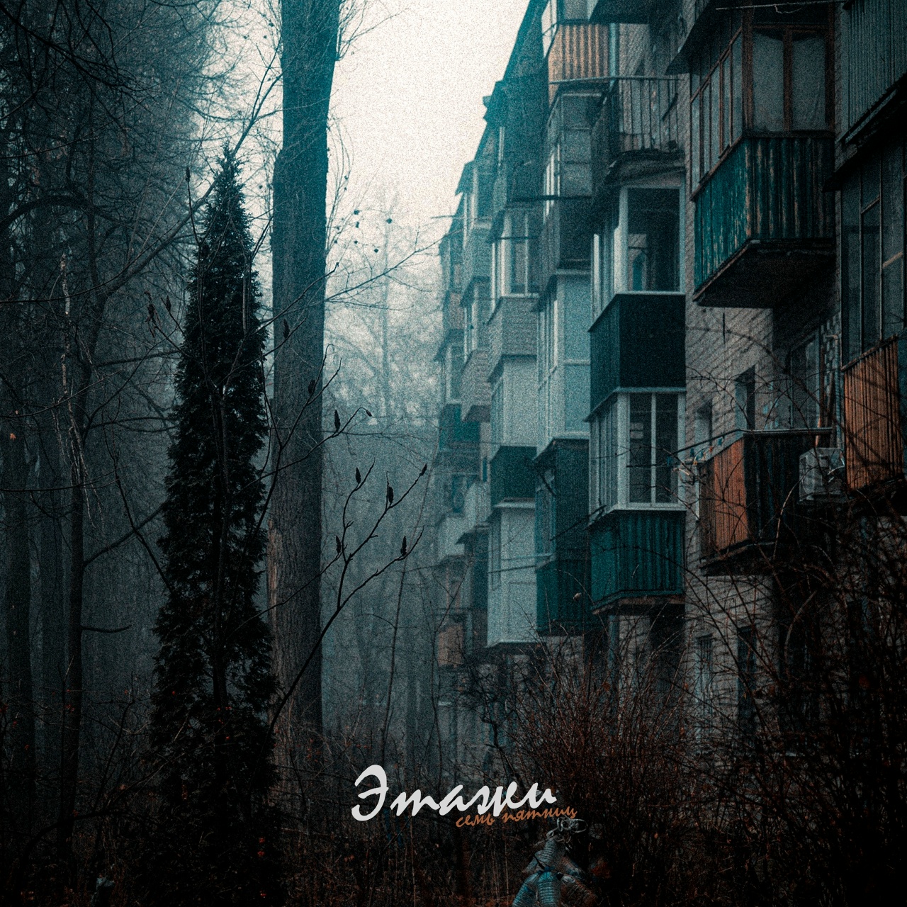 семь пятниц «Этажи» (интернет-сингл)