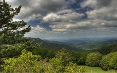 Крымский заповедник, фото: alushtamore.com