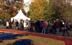 Выборы в КСО. Фото пользователя Twitter @kochetkov_vlad Выборы в КСО. Фото пользователя Twitter @kochetkov_vlad