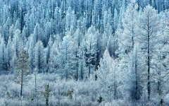 Фото с сайта liveinternet.ru Фото с сайта liveinternet.ru