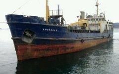 Сухогруз «Амурская». Фото с сайта maritime.port.bg