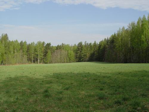 Земельный участок. Фото с сайта allparket.com