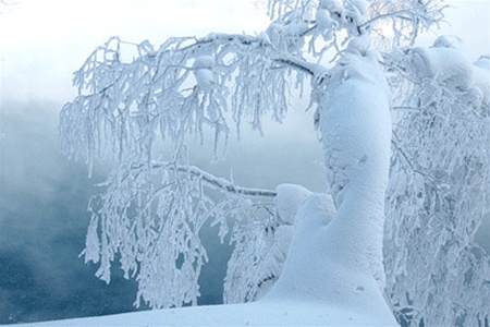 Фотография с сайта obozrevatel.com