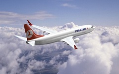 Самолет Turkish Airlines, фото: vipservicespb.ru