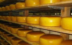 Россия и Украина договорились о решении «сырного» вопроса Россия и Украина договорились о решении «сырного» вопроса