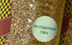 Продукты питания освободят от маркировки «Не содержит ГМО!», фото с сайта newsgo.ru