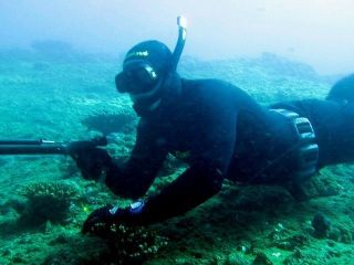 Подводная охота. Фото с сайта fishingcenter.ru