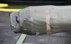 Пробосборник с илом. Фото с сайта sciencemag.org