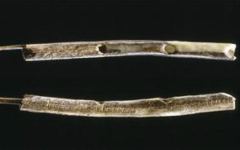 Флейта из бивня мамонта. Фото sciencedaily.com