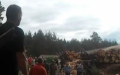 Столкновение в Демьяново. Кадр с видео на Youtube Столкновение в Демьяново. Кадр с видео на Youtube