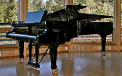 Fazioli F308