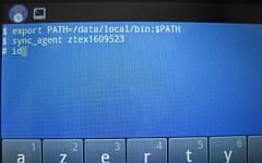 В сеансе диалога с системой вводится команда «sync_agent ztex1609523» В сеансе диалога с системой вводится команда «sync_agent ztex1609523»
