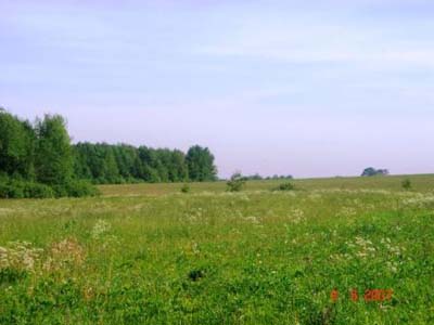 Фото с сайта homelong.ru
