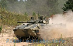 Боевая машина десанта. Фото с сайта pilot.strizhi.info