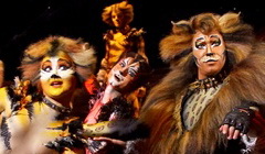 Мюзикл «Cats!». Фото пресс-службы компании «Стейдж Энтертейнмент»