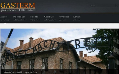 Скриншот с сайта компании GasTerm Скриншот с сайта компании GasTerm