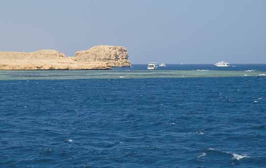 Красное Море. Фото с сайта divetravels.ru