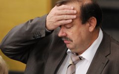 Геннадий Гудков © РИА Новости, Владимир Федоренко