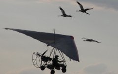 Дельтапланирист © РИА Новости, Лаура Коробкова Дельтапланирист © РИА Новости, Лаура Коробкова