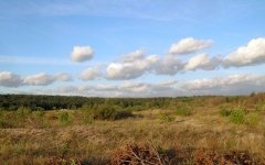 © KM.RU, Дмитрий Хлевнюк © KM.RU, Дмитрий Хлевнюк