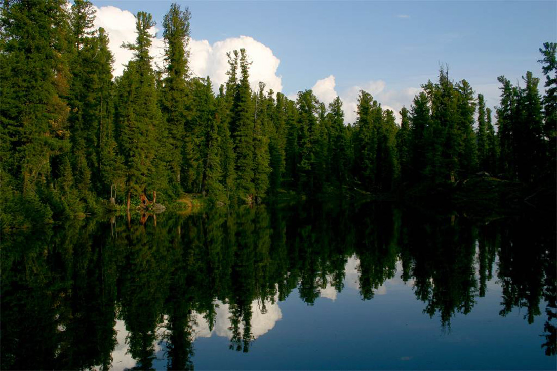 Подмосковье. Фото с сайта eco-turizm.net