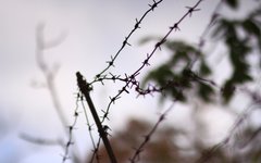 © KM.RU, Александра Воздвиженская © KM.RU, Александра Воздвиженская