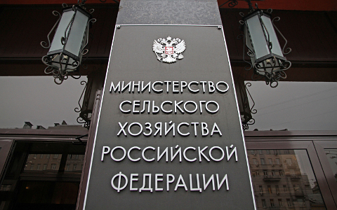 © KM.RU, Илья Шабардин © KM.RU, Илья Шабардин