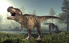 Tyrannosaurus rex. Изображение с сайта someinterestingfacts.net