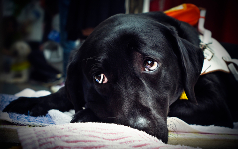 Фото пользователя Flickr Hiroyuki Takeda Фото пользователя Flickr Hiroyuki Takeda