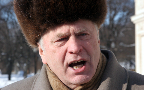 Владимир Жириновский  © KM.RU