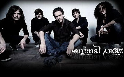 Animal ДжаZ. Фото с офстраницы группы ВКонтакте Animal ДжаZ. Фото с офстраницы группы ВКонтакте