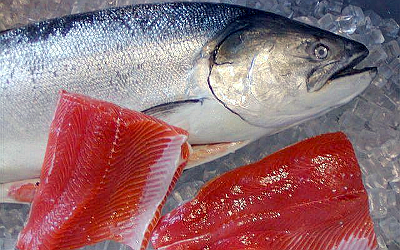 Фото с сайта fish.gov.ru Фото с сайта fish.gov.ru