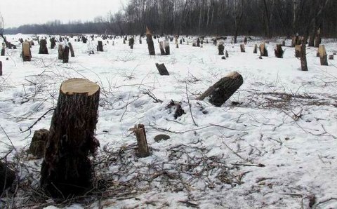 Фото с сайта svoisotki.ru Фото с сайта svoisotki.ru