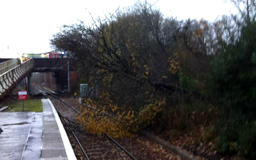Фото пользователя Твиттера @ScotRail Фото пользователя Твиттера @ScotRail