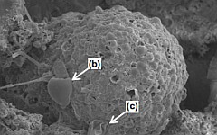 Фото с сайта arxiv.org