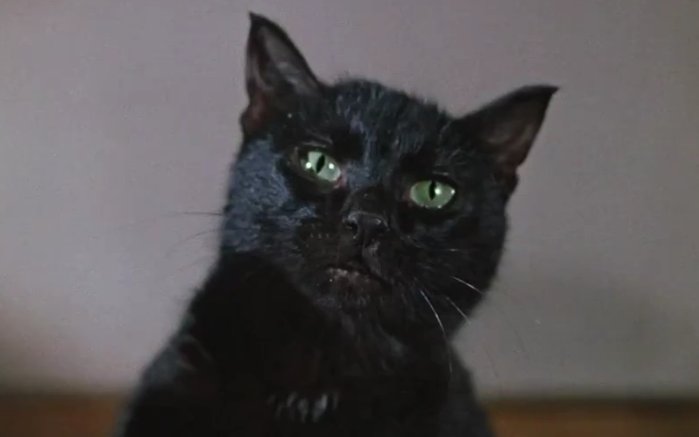 Кадр из х/ф «Иван Васильевич меняет профессию»