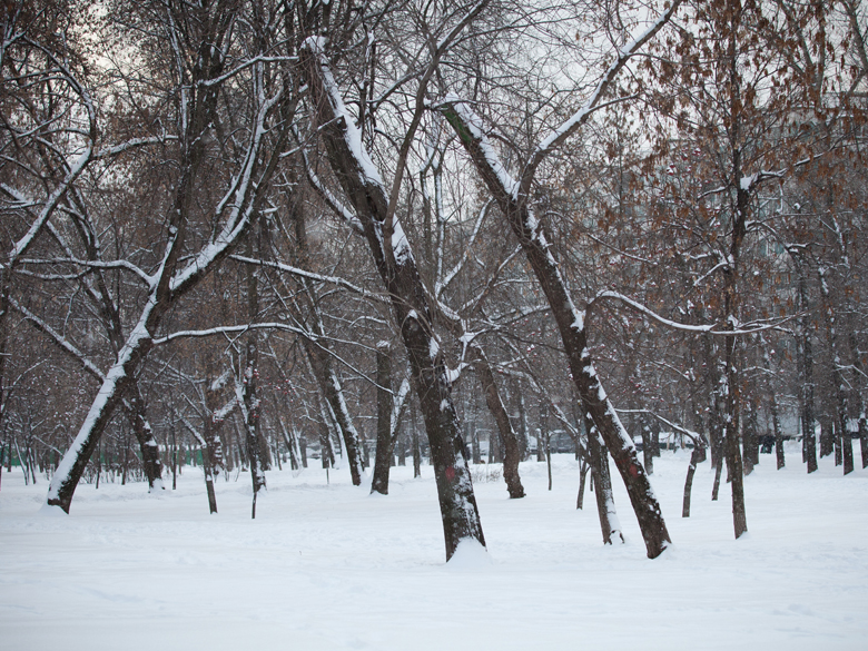 Снегопад © KM.RU