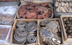 Рынок фармацевтических ингредиентов в Сиане. Фото с сайта wikipedia.org Рынок фармацевтических ингредиентов в Сиане. Фото с сайта wikipedia.org