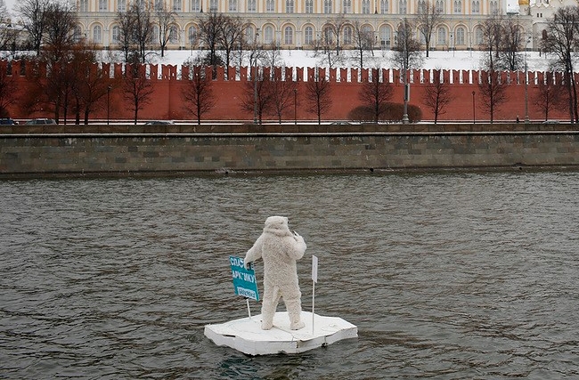 «Белый медведь». Фото Дениса Синякова с сайта greenpeace.org «Белый медведь». Фото Дениса Синякова с сайта greenpeace.org