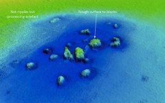 Фото с сайта southampton.ac.uk