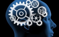 Фото с сайта buildingbrainpower.com