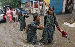 Фото с сайта newindianexpress.com